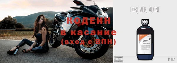 шишки Козловка