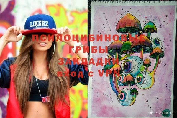 шишки Козловка