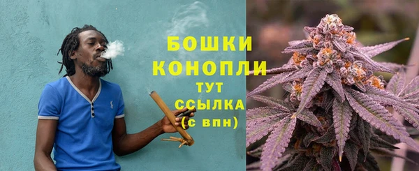 шишки Козловка