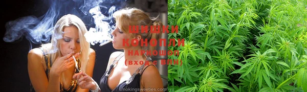 шишки Козловка
