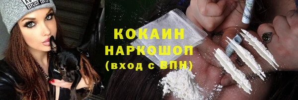 шишки Козловка