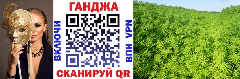 Купить где  Родники  Бошки Шишки Amnesia 